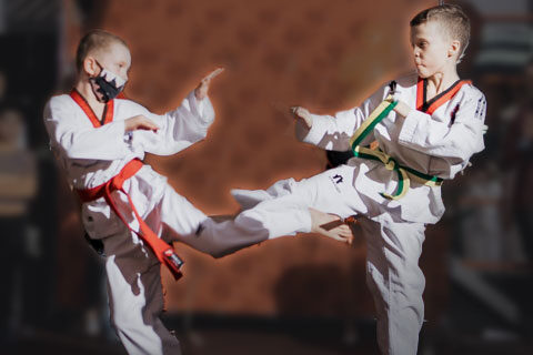 taekwondo cover 480x320 - Секции