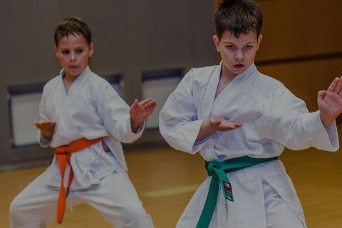 Kokusin karate cover 480x320 - Тхэквондо