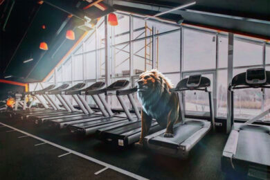 gym beg lion bg 390x260 - Тренажерный зал